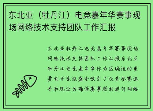 东北亚（牡丹江）电竞嘉年华赛事现场网络技术支持团队工作汇报