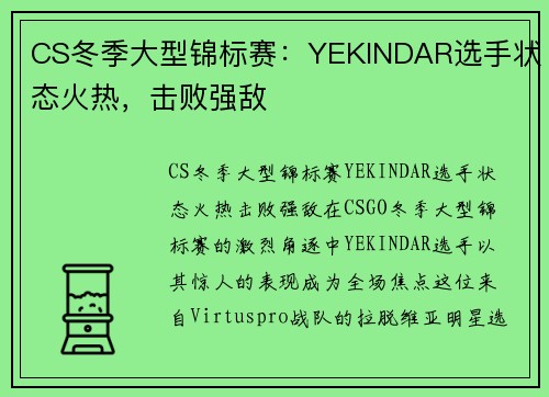 CS冬季大型锦标赛：YEKINDAR选手状态火热，击败强敌