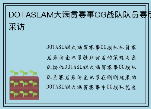 DOTASLAM大满贯赛事OG战队队员赛后采访
